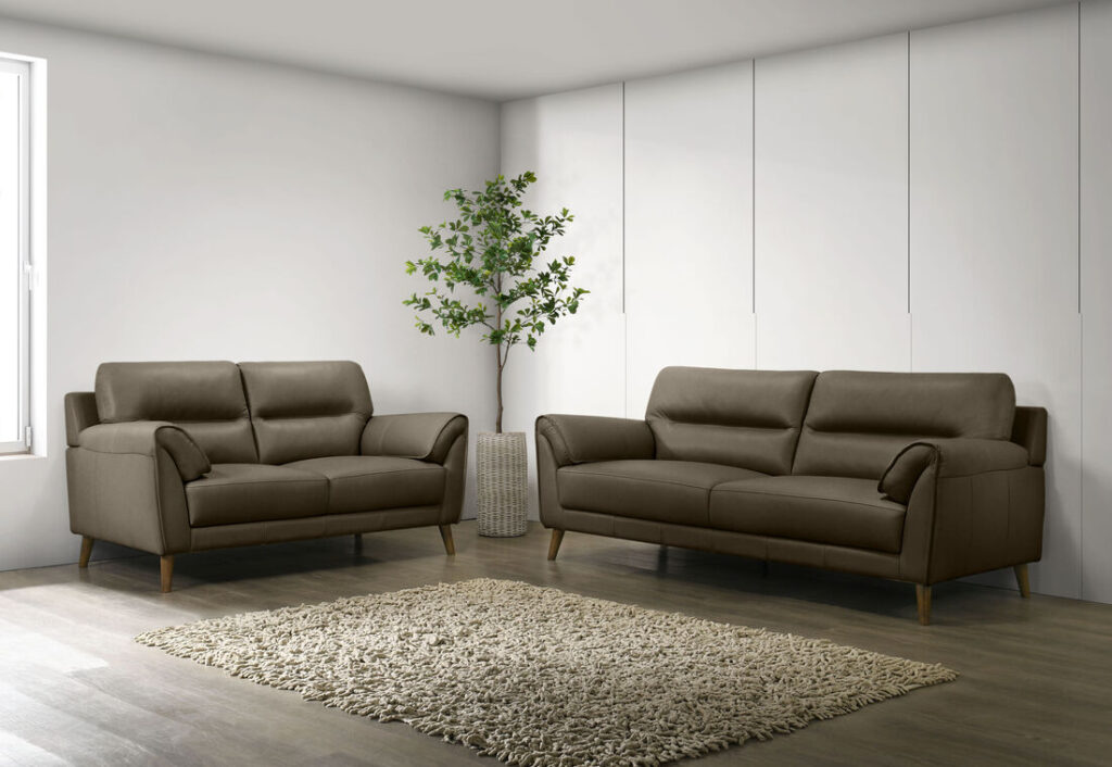 Why 2 Seater Sofas Sydney Homes Are the Smart Choice for Tight Spaces